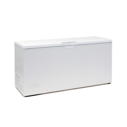 Réfrigérateur coffre - EBC61 - Tefcold 
