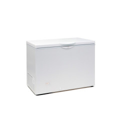 Réfrigérateur coffre - EBC35 - Tefcold 