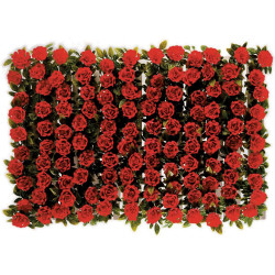 Boite De 12 Barrettes Roses Rouges -  