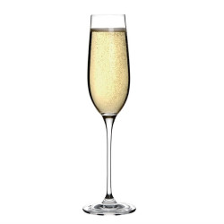 Flûtes à champagne en cristal Olympia Campana 260ml (Lot de 6) 