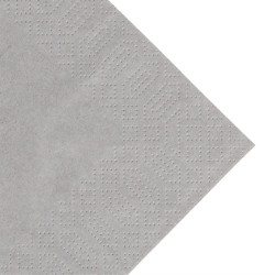 Serviettes snacking ouate gris granite compostables Duni 330mm (lot de 1000) 